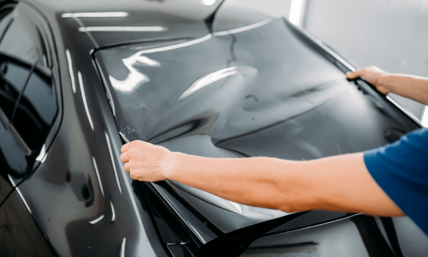 XPEL window tint