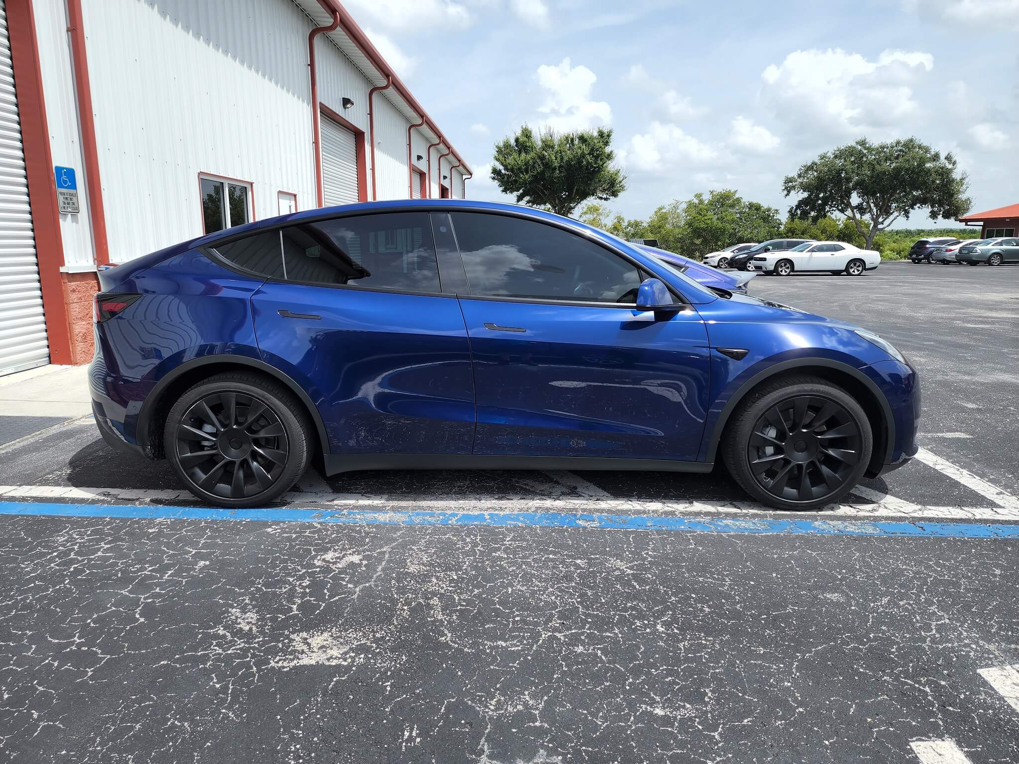 window tint 
